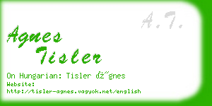 agnes tisler business card